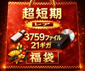 超短期 りゅ〇しゅつ 110人詰め合わせ 非売品 レア 3759ファイル 21ギガ